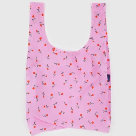Fall Standard Baggu Bag *More Styles*